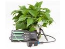 植物叶绿素荧光长期监测系统