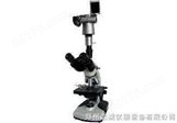 BM-14S数码暗视野显微镜