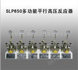 SLP650多功能平行高压反应器