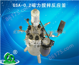 热卖GSA-0.2磁力搅拌反应釜