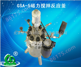 北京森朗GSA-5磁力搅拌反应釜