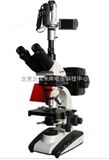 HG13-BM-20AYV摄像落射荧光显微镜       荧光显微镜   三目荧光显微镜