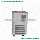 低温恒温冷却液循环泵DLSB-5/25  低温恒温