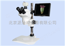 立体视频显微镜LCD-80102